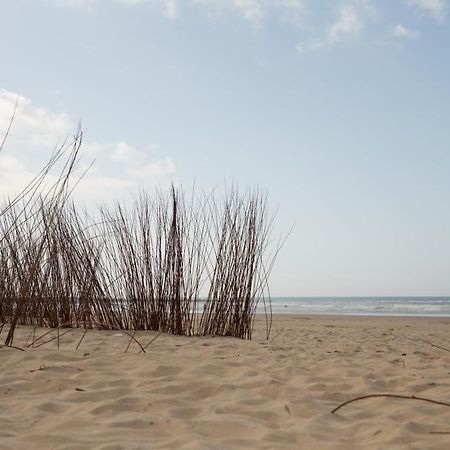 Apartamento Coquina Mrz Rentals バルバテ エクステリア 写真