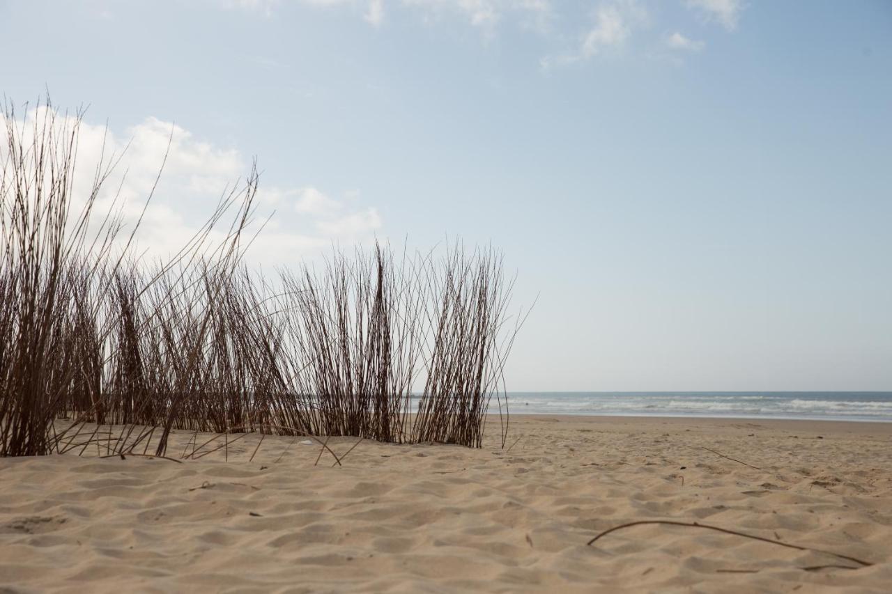 Apartamento Coquina Mrz Rentals バルバテ エクステリア 写真